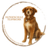 Hundeschule Teamwork